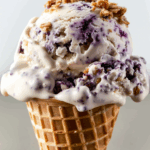 Blueberry Crumble Ice Cream