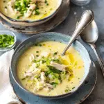 Easy Creamy Leek and Chicken Soup